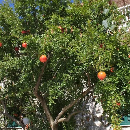 Διαμέρισμα By The Sea Lumbarda, Korcula - 9183 Λομπάρδα